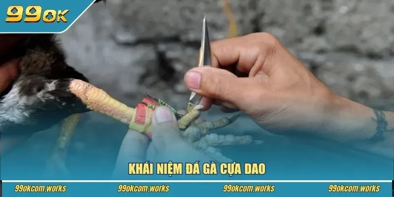 Khái niệm đá gà cựa dao