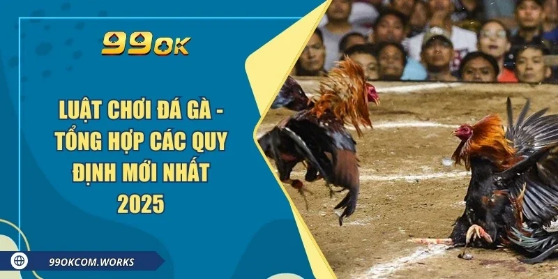 Luật Chơi Đá Gà - Tổng Hợp Các Quy Định Mới Nhất 2025